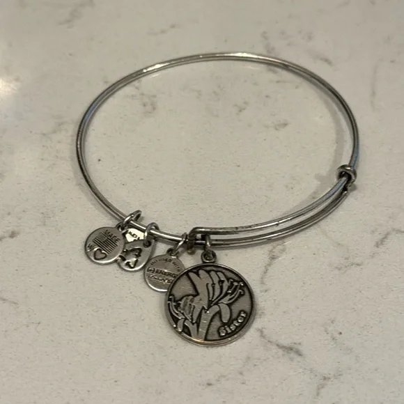 Alex and Ani Jewelry Alex And Ani Sister Charm Bracelet Poshmark